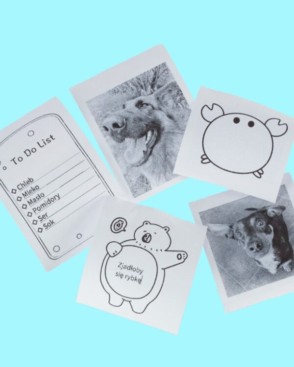 Drukarka mini termiczna do zdjęć etykiet kot niebieski + 2 rolki papieru GRATIS