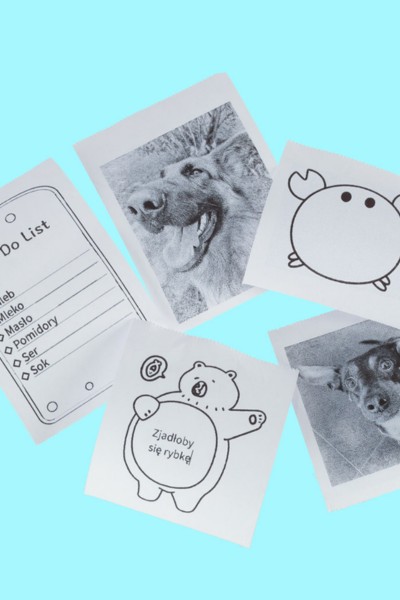 Drukarka mini termiczna do zdjęć etykiet kot niebieski + 2 rolki papieru GRATIS